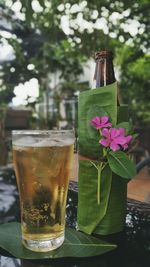 Close-up of beer in glass against water