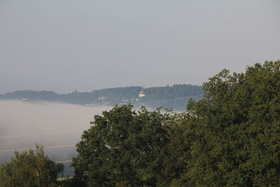 Scenic view of forest against clear sky