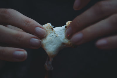Close-up of hand holding marshmallow