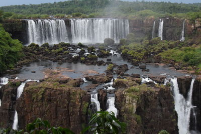Scenic view of waterfall in forest