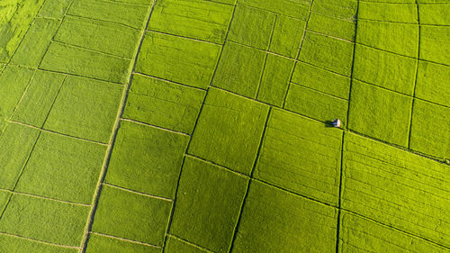 High angle view of person working on field