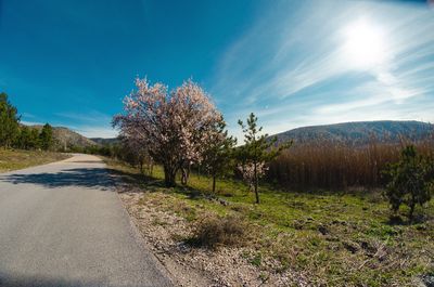 Road passing through grassy field