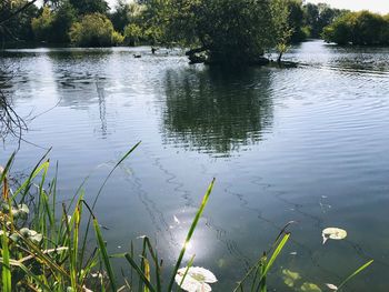 Scenic view of lake