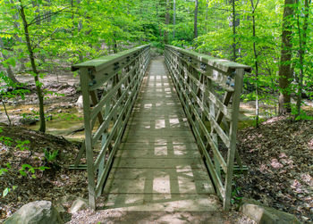 Footbridge amidst trees in forest