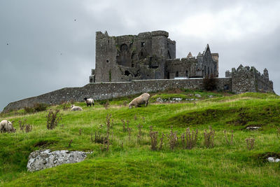 Old ruin on field by building against sky