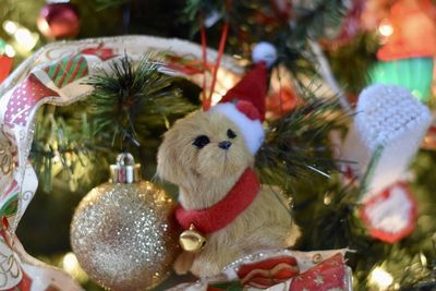 Close-up of christmas tree