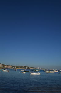 Sailboats sailing in sea against clear blue sky