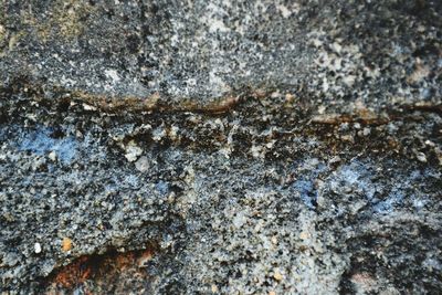 Close-up of rocks in water