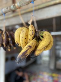 Bananas hanging at traditional market