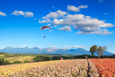 Scenic view of paraglider above field against blue sky