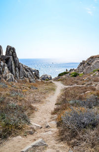 Scenic view of sea against clear sky