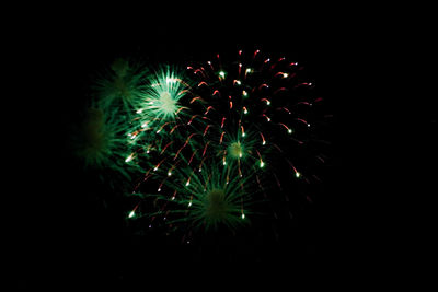 Low angle view of firework display at night