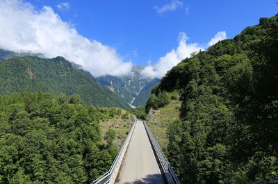 Panoramic view of road amidst plants against sky