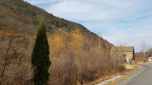 Road by tree mountain against sky