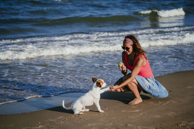 Full length of dog on beach