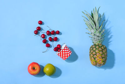 High angle view of fruits on table