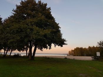 Trees on landscape against sky