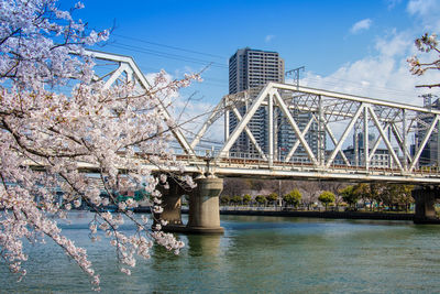 Low angle view of bridge over river against sky