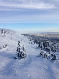 Scenic view of landscape against sky during winter