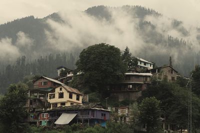 Houses and trees against sky