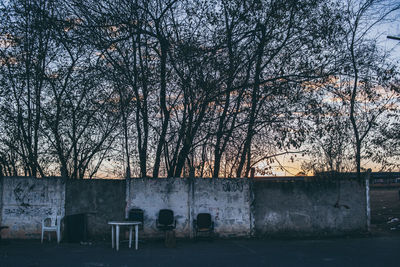 Bare trees by building against sky during winter
