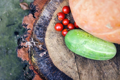 High angle view of berries on tree stump