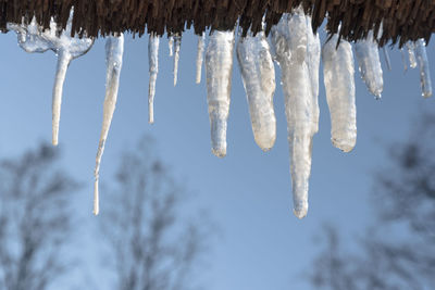 Low angle view of icicles hanging against sky