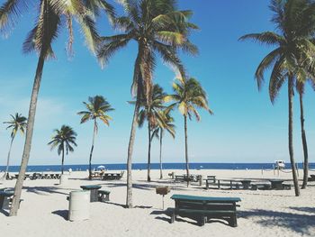 Palm trees on beach against clear blue sky