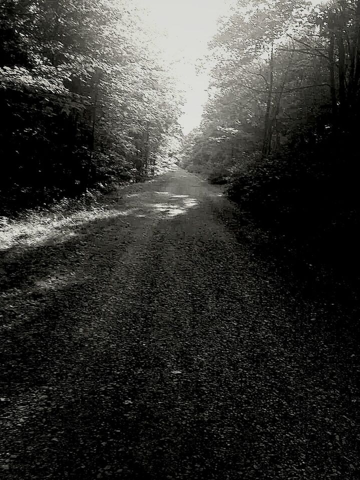 the way forward, diminishing perspective, transportation, vanishing point, road, tree, street, asphalt, empty road, tranquility, nature, surface level, empty, road marking, dirt road, tranquil scene, country road, long, no people, outdoors