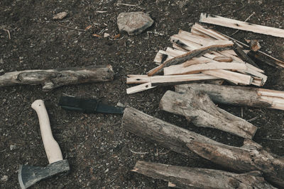 High angle view of firewood