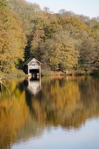 Scenic view of lake in forest