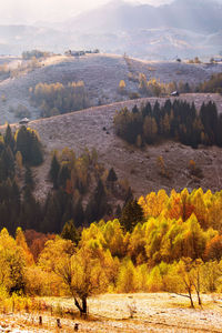 Scenic view of landscape during autumn