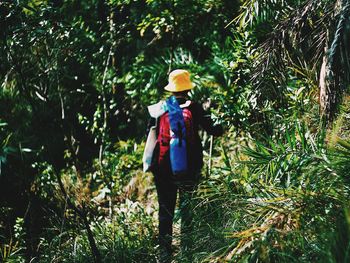 Full length of woman standing amidst trees in forest