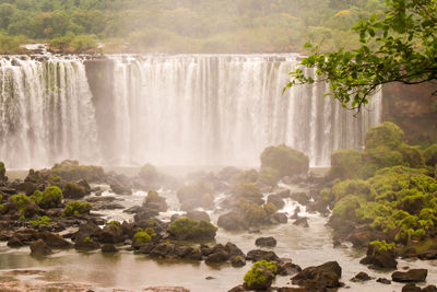 Scenic view of waterfall in forest