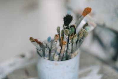 Close-up of paintbrushes