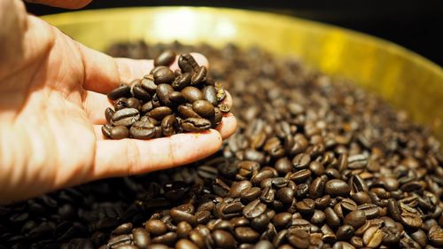 Close-up of hand holding coffee beans