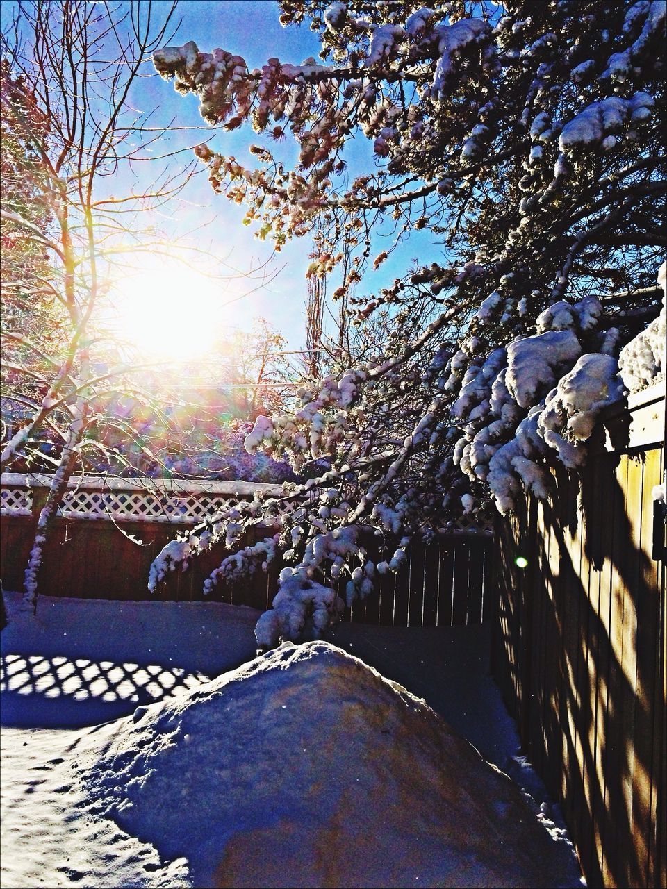 winter, tree, snow, cold temperature, sun, sunlight, built structure, season, architecture, building exterior, sunbeam, bare tree, lens flare, sky, nature, the way forward, covering, branch, sunny, clear sky
