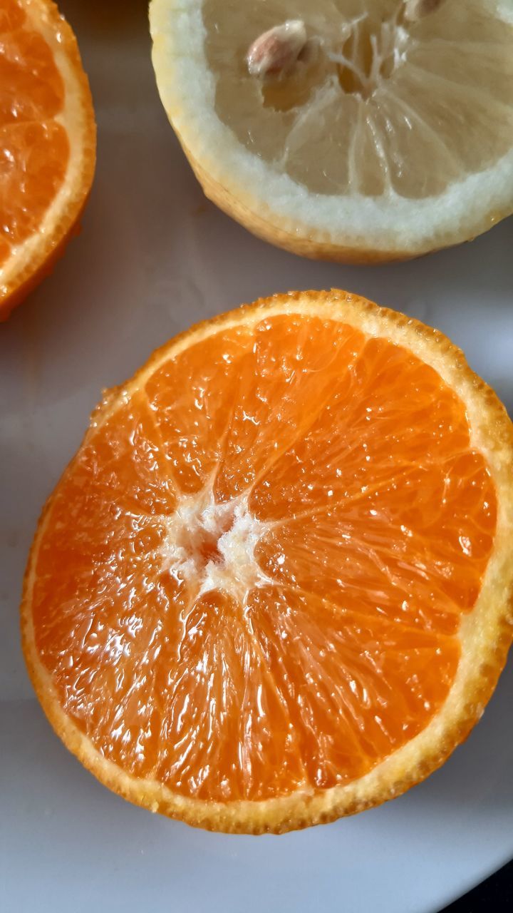 HIGH ANGLE VIEW OF ORANGE SLICES IN PLATE