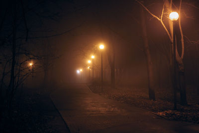 Foggy night 
