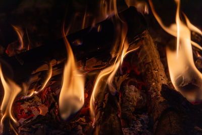 Close-up of bonfire