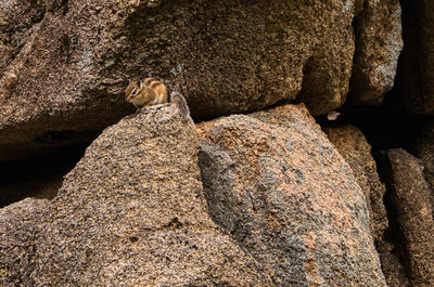 rock
