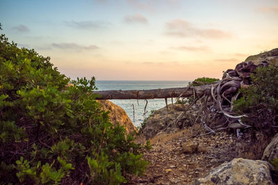 Scenic view of sea against sky at sunset