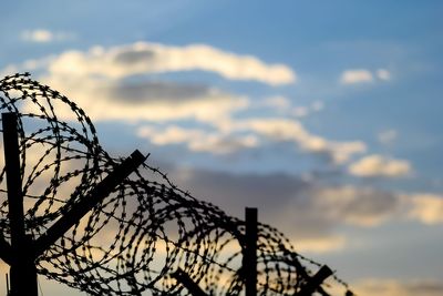 Barbed wire fence on the european border during sunset. sunset behind the barbed wire.