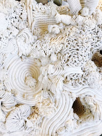 High angle view of seashells