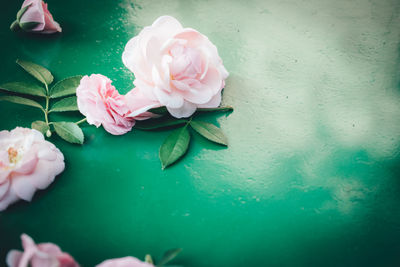 High angle view of pink rose on table