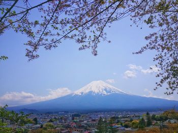 Scenic view of tree mountains against blue sky