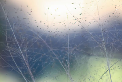 Close-up of water against sky