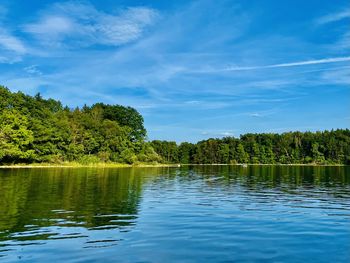 Scenic view of lake in forest against sky