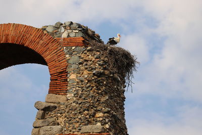 Low angle view of bird on nest on old ruin against sky