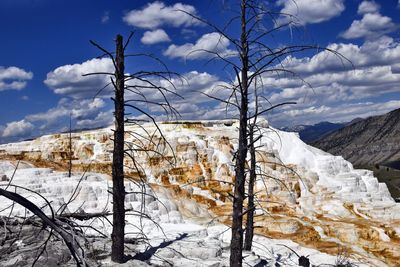 Bare trees on snowcapped mountain against sky